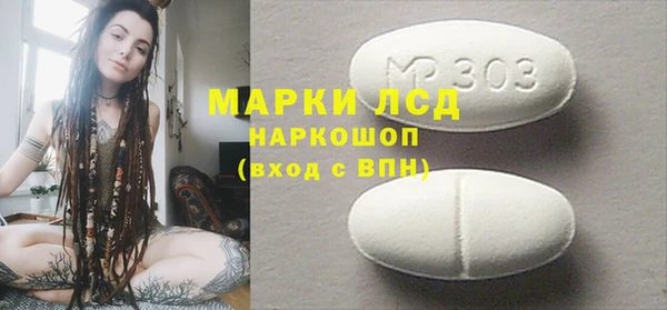 стаф Верея