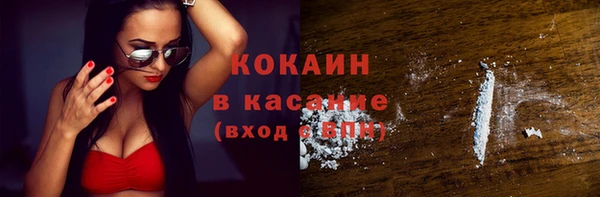 стаф Верея