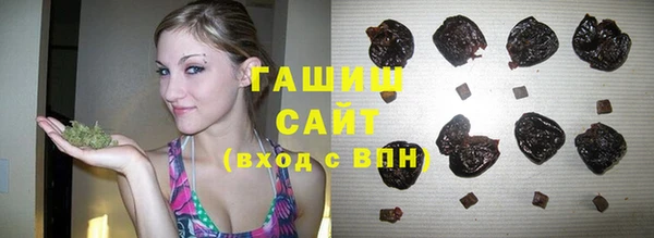 стаф Верея