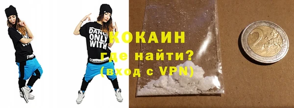 стаф Верея