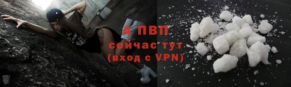 стаф Верея