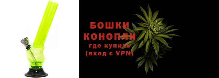 ГАЛЛЮЦИНОГЕННЫЕ ГРИБЫ Семёнов
