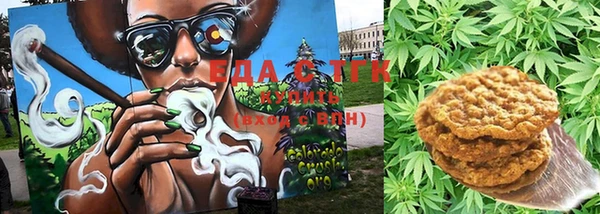 стаф Верея